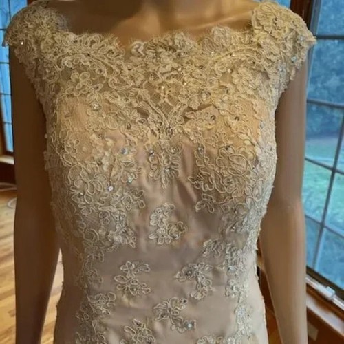 *NWT Izidress Lace Floor Length Sleeveless Bridal Gown Wedding Dress Size 12 14 - Picture 4 of 15