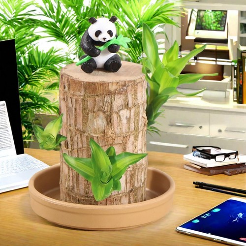 Brazilian Wood Mini Plant Stump Hydroponic Potted Decor With Nutrient Solution - Picture 10 of 11