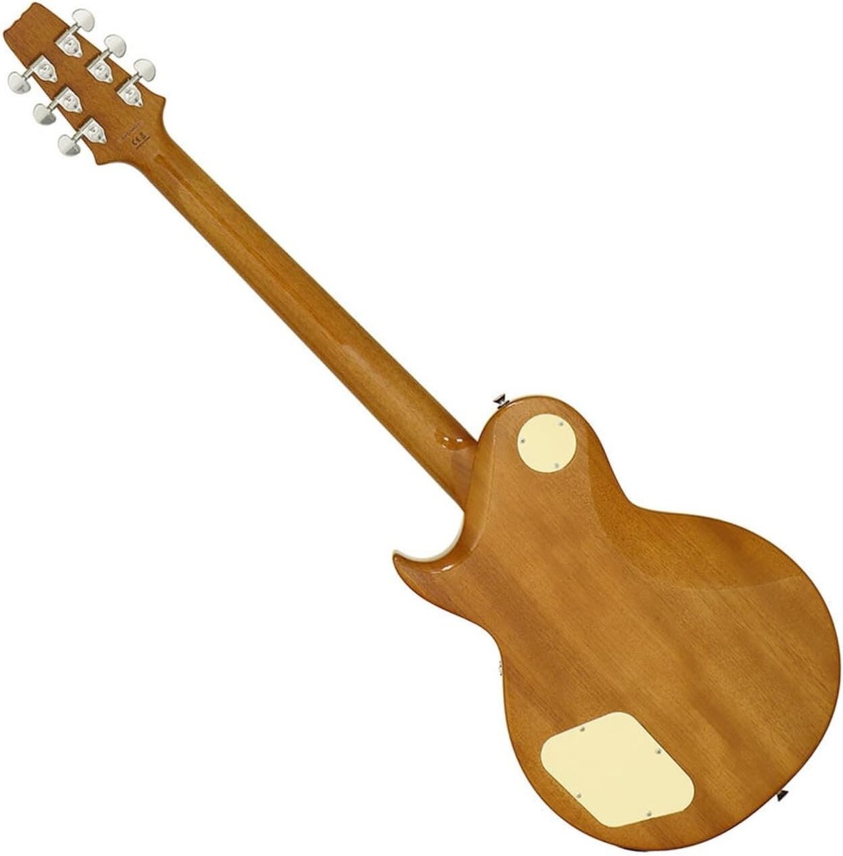 AriaProii PE-AE200 MP ARIA EVERGREEN Electric Guitar with Gig Bag