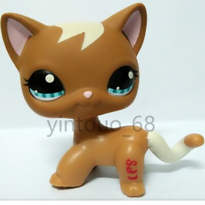 Figurine Pet Shop 1170 Chat Européen Poil Court, Occasion, Bon état