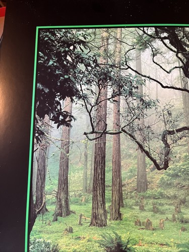 The Big Sur Land Trust, Photo by Cal Brady Vintage 1991 Poster Carmel California - Picture 9 of 17