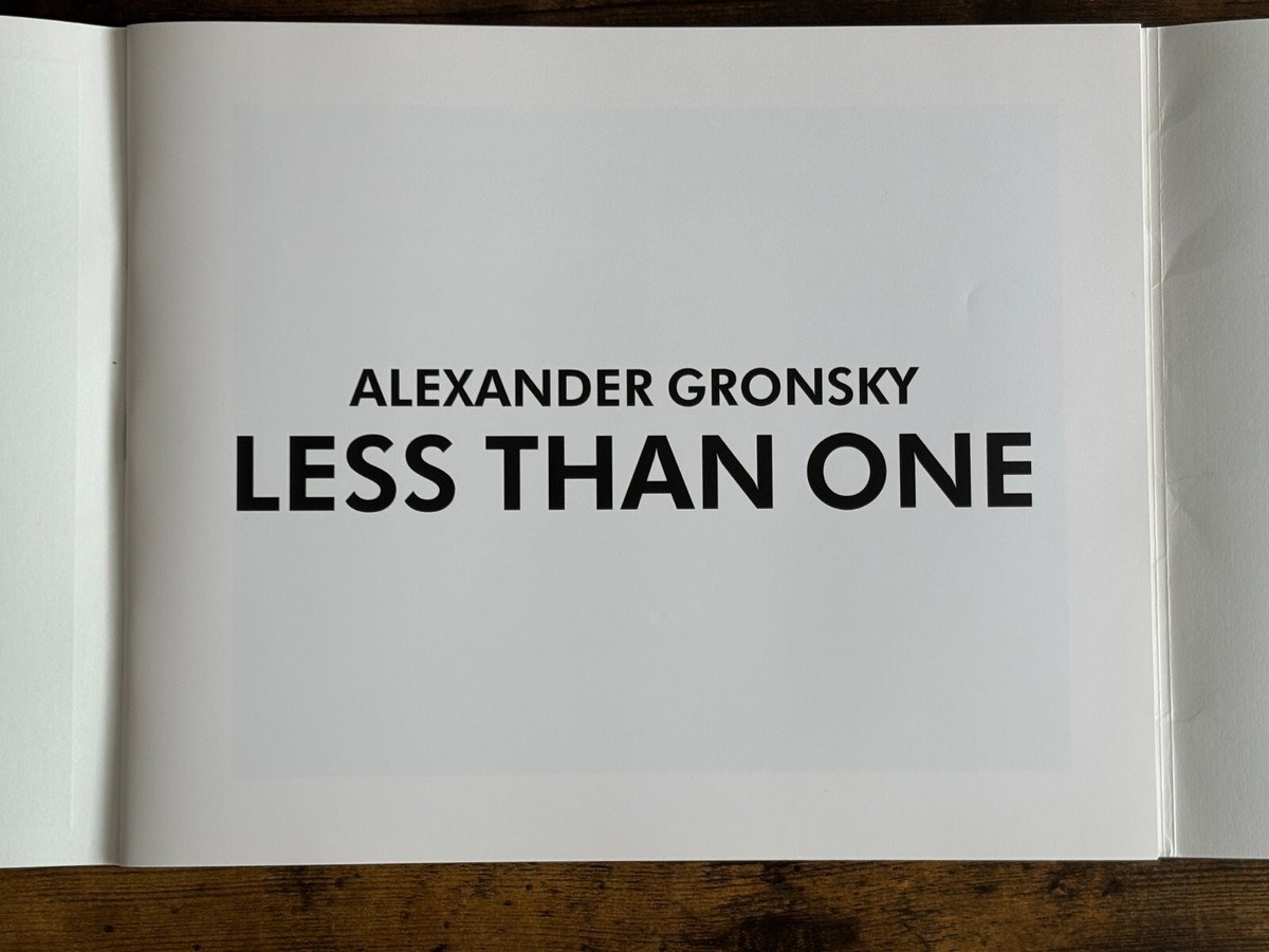 Less Than One / Alexander Gronsky　定500部 Less Than One by Alexander Gronsky — Thisispaper