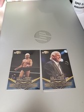 Ric Flair Hall Of Fame Cards