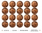 Lot of 20 – 1 AVDP oz .999 Copper Rounds – Indian Head / Buffalo Nickel Design — photo 1