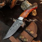 8.2" Clip Point Knife Damascus Steel Hunting EDC Full Tang Blade Resin Handle — photo 1