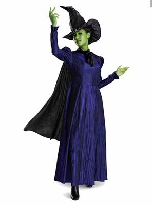 Disguise Wicked Elphaba Deluxe Adult Costume Cape Hat XL Black Purple