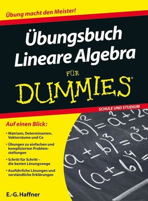 Übungsbuch Lineare Algebra für Dummies: Auf einen Blick: Buch Wiley-VCH