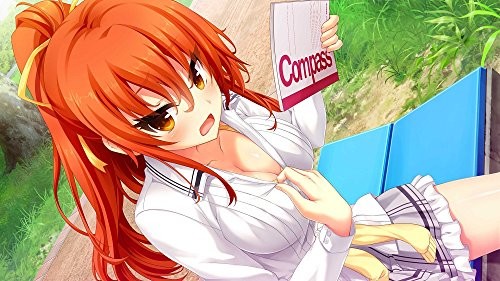 Fiche du jeu The Princess, the Stray Cat, and Matters of the Heart sur