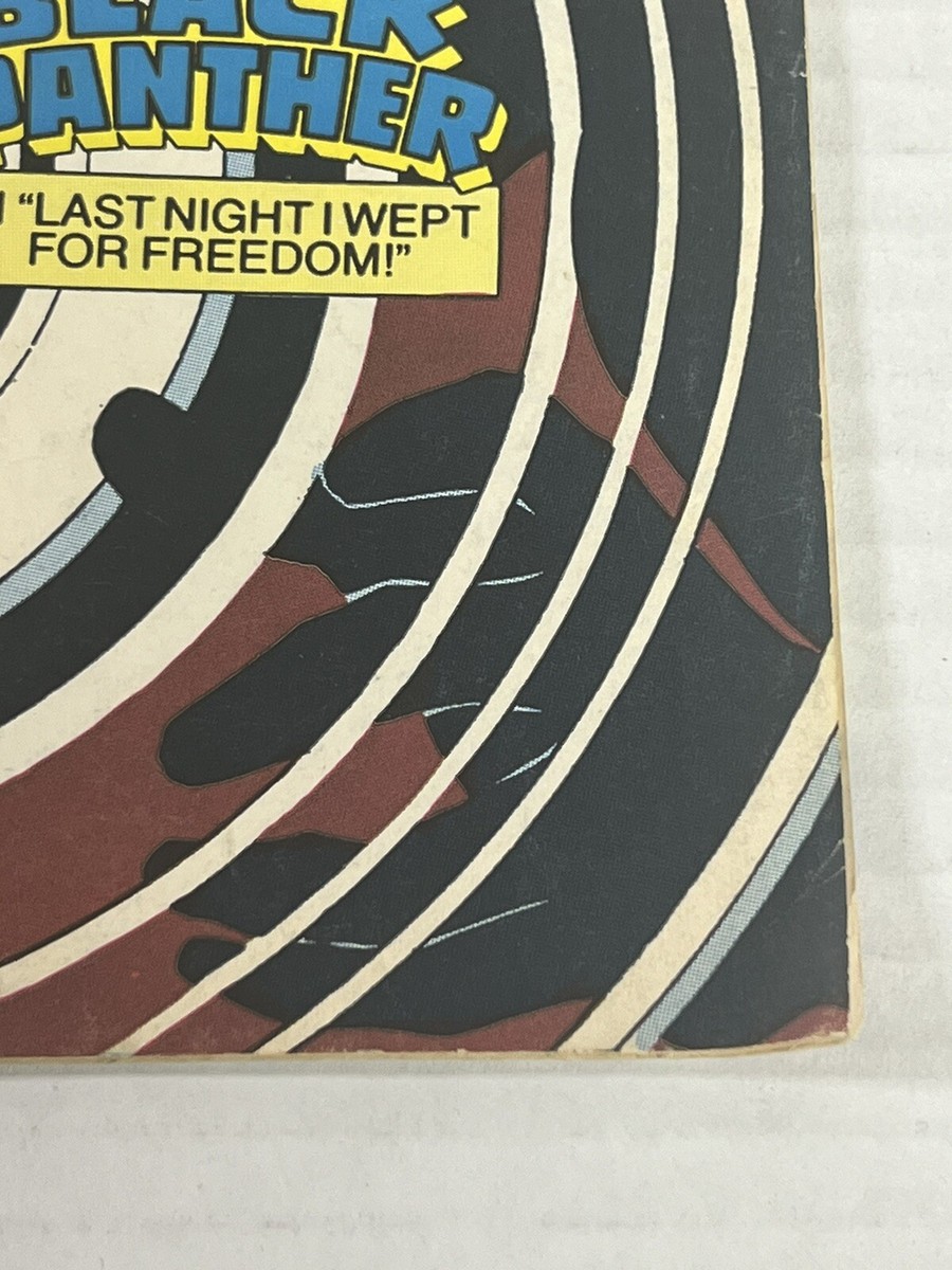 Marvel Comics Presents X-Mens Havok Black Panther Issue 27