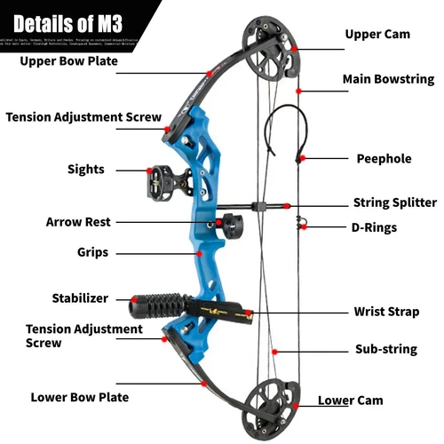 Junior 10-30LBS Compound Bow and Arrows Set Archery Target Right Hand Youth Kids - Picture 6 of 26