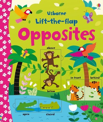 Lift-the-flap Opposites | Felicity Brooks | englisch