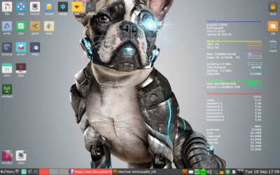 Puppy OS USB Drive - Linux Operating System - Latest 64Bit Version