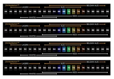 4 X Fermometer Adhesive Strip Thermometer