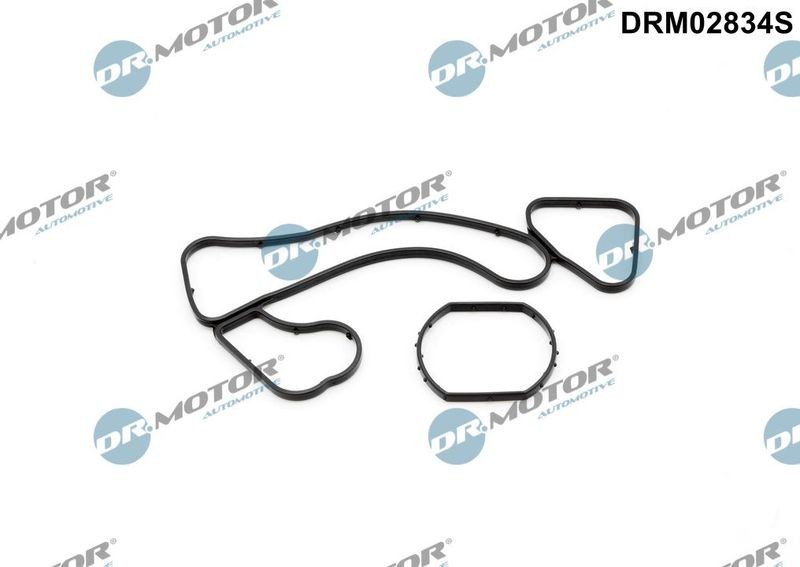 Joint de radiateur d'huile Dr.Motor DRM02834S pour moteur AUDI OE 059117070B