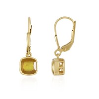 Cavill Gelbe Saphir Ohrringe 2,07Ct Madagaskar 925 Silber Vergoldet Quadratisch