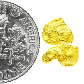 0.3315 Gram Alaska Natural Gold Nuggets (#81059) 2pcs Alaskan Gold Nuggets