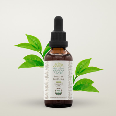 HerbEra Matcha Green Tea Alcohol-FREE Tincture, (Camellia sinensis)