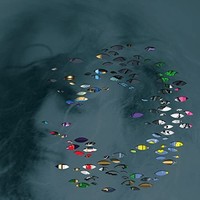 Bratebrann - Vinyl Record2 - G4Z