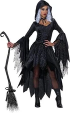 Bewitching Beauty Wicked Witch Gothic Black Fancy Dress Halloween Adult Costume