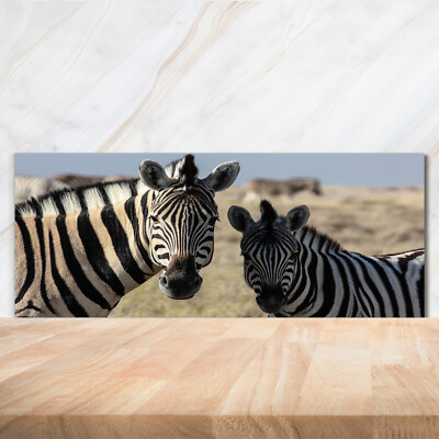 Küchenrückwand Spritzschutz aus Glas 125x50 Deko Tiere Zwei Zebras