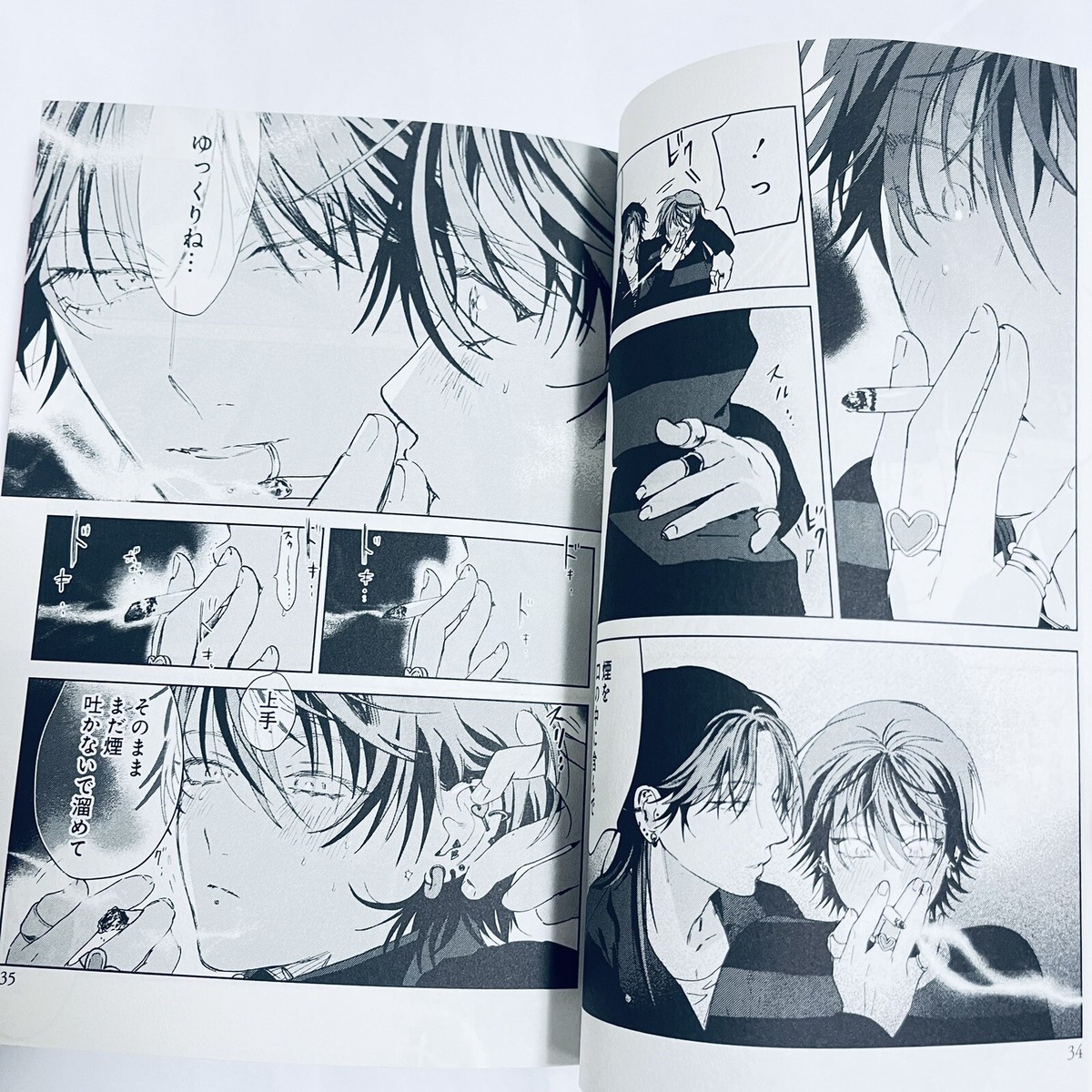 PUNKS TRIANGLE Japanese Comic BL Manga Yuho Okita From Japan