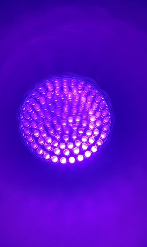 UV Ultra Violet Flashlight Blacklight LED Lamp Torch - Picture 4 of 4