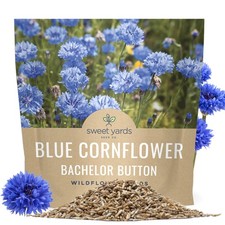Blue Cornflower Seeds   Bachelor Buttons   Extra Large 1 Ounce Pouch,
