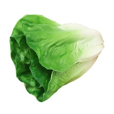 Artificial Vegetable Lifelike Photo Prop Centerpiece PU Simulation Vegetable for