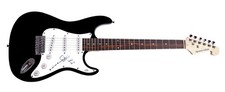 Steven Van Zant Signed Autographed Guitar ACOA