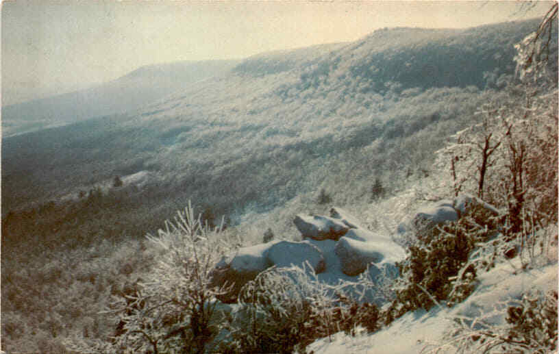 Foto 1 di 2