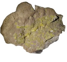 Minerale cristalli zolfo nativo su aragonite o celestina?prov.sicily
