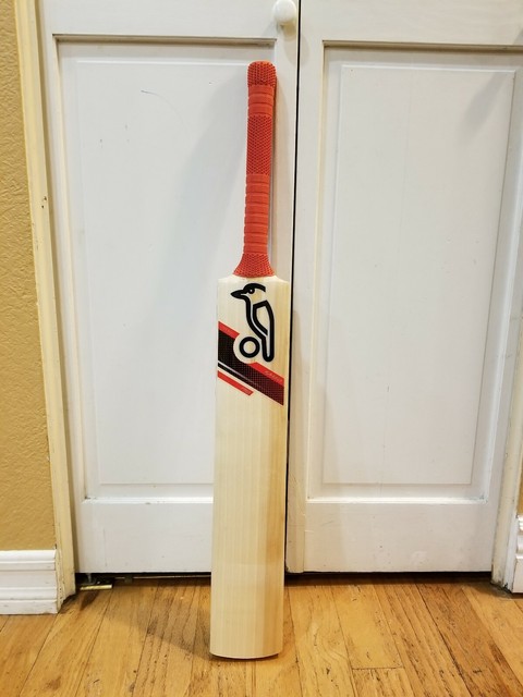 English Willow Grade 1 Cricket Bat EBay