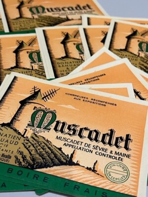 SET 50 Etiketten MUSKADET / WEISSWEIN / FRANKREICH / ETIKETTEN GETRÄNK ALKOHOL WEINE ALT