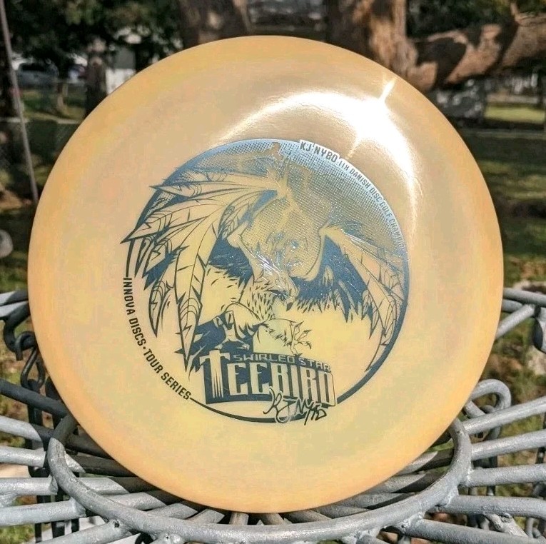 Innova new rare 2018 11X Danish Champ KJ Nybo Swirled STAR TeeBird 175g