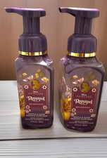 Bath  BodyWorks Rapunzel Disney Princess Foam Hand Soap Set 2     