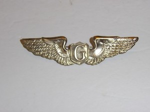 Glider Pilot | eBay