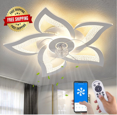 Ventilador De Techo Con Lampara Luz Luces y Control Remoto para Dormitorio Sala