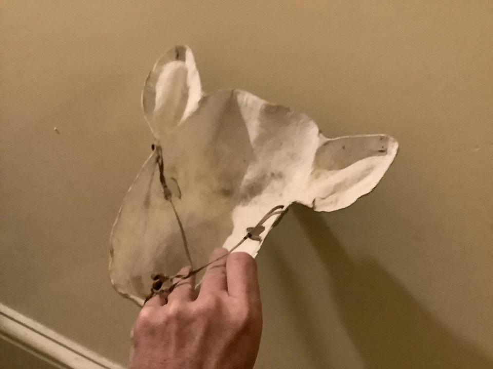 vintage Paper Mache  Cow Costume, unmarked, original string, child size, display - Image 3 of 4