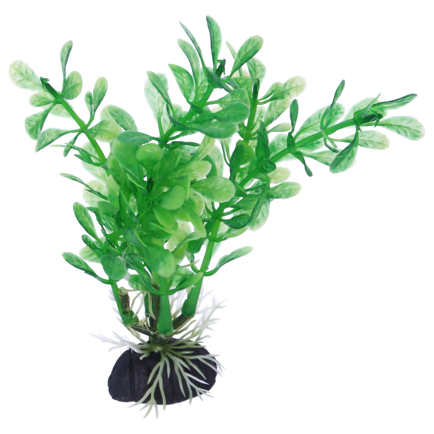 Fish R Fun Goldfish Bowl Aquarium Filter Kit Air Pump Hose Clamp Plant Fish Tank eBay