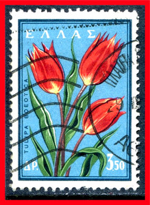 Greece Postage Stamp Scott 630, Used!! Gr77e
