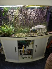Jewel 260L Aquarium Tank with External Filter and LED Lighting