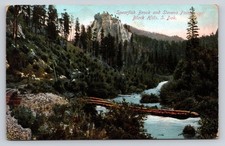 1916 Spearfish Brook Stevens Point Black Hills S. Dak. Postcard