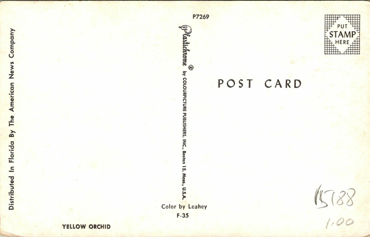 Yellow Orchid Pink Petal Postcard unused (15188) | eBay