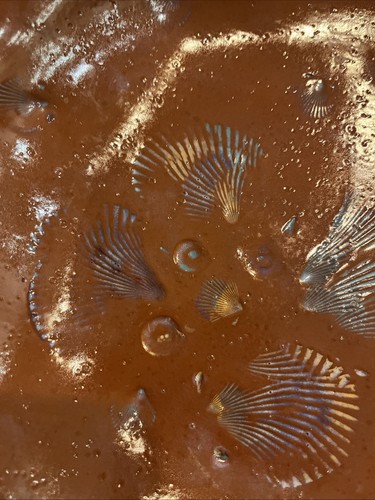 Vintage Studio Art Pottery Terracotta Plate Embossed W/ Shells Rolled Edge-10” - Picture 5 of 12