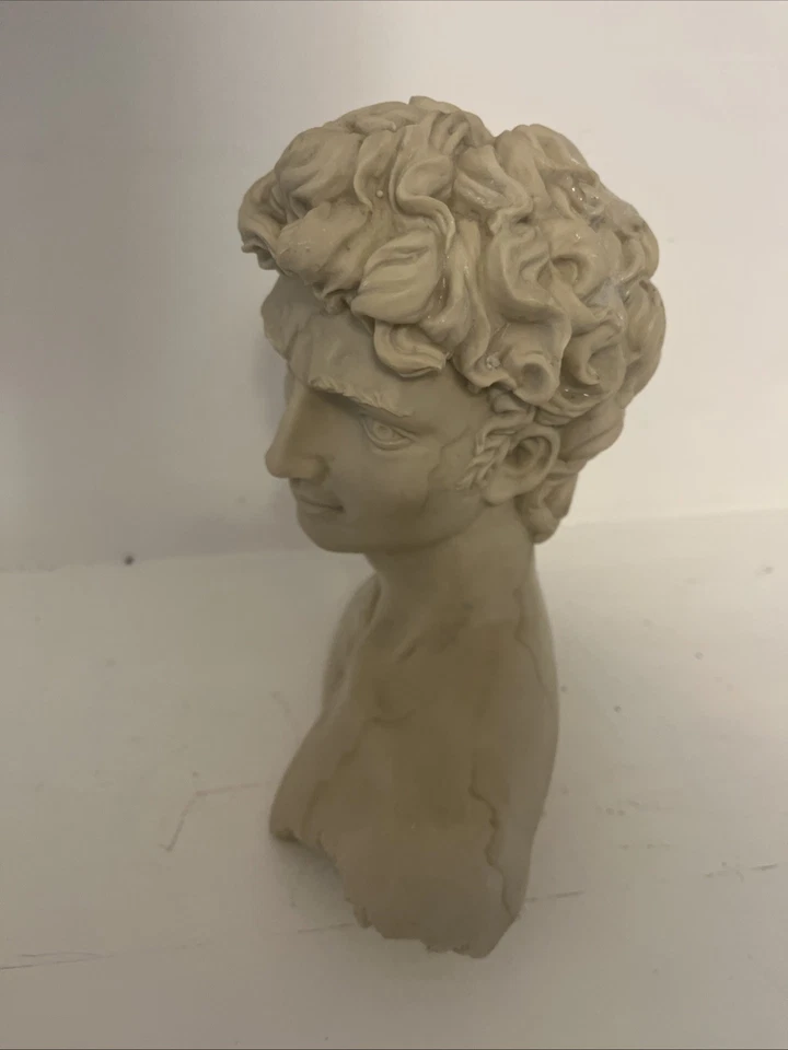 Busto Miguel Ángel’s David Estatua De Colección Hecha a Mano Estilo Mármol Decoración De Colección Foto 4 de 4