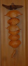 Lovely Crab Shell Wall Decoration