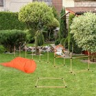 Foto 2 di 8