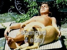 DAVID CASSIDY BARECHESTED BEEFCAKE BAREFOOT AND DOG 8X10 PHOTO i44 DAVID CASSIDY BARECHESTED BEEFCAKE BAREFOOT AND DOG 8X10 PHOTO i44