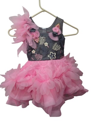 S. Moni Pink Gray Ruffle Girls Dress Size 20 (2-3 Years)