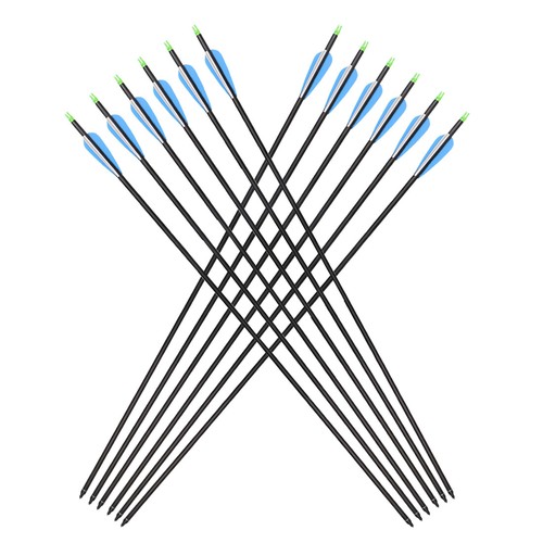 12Pcs 30Inch Carbon Arrow SP500 Hunting Arrows Screw Tips Compound/Recurve Bow - Picture 17 of 17